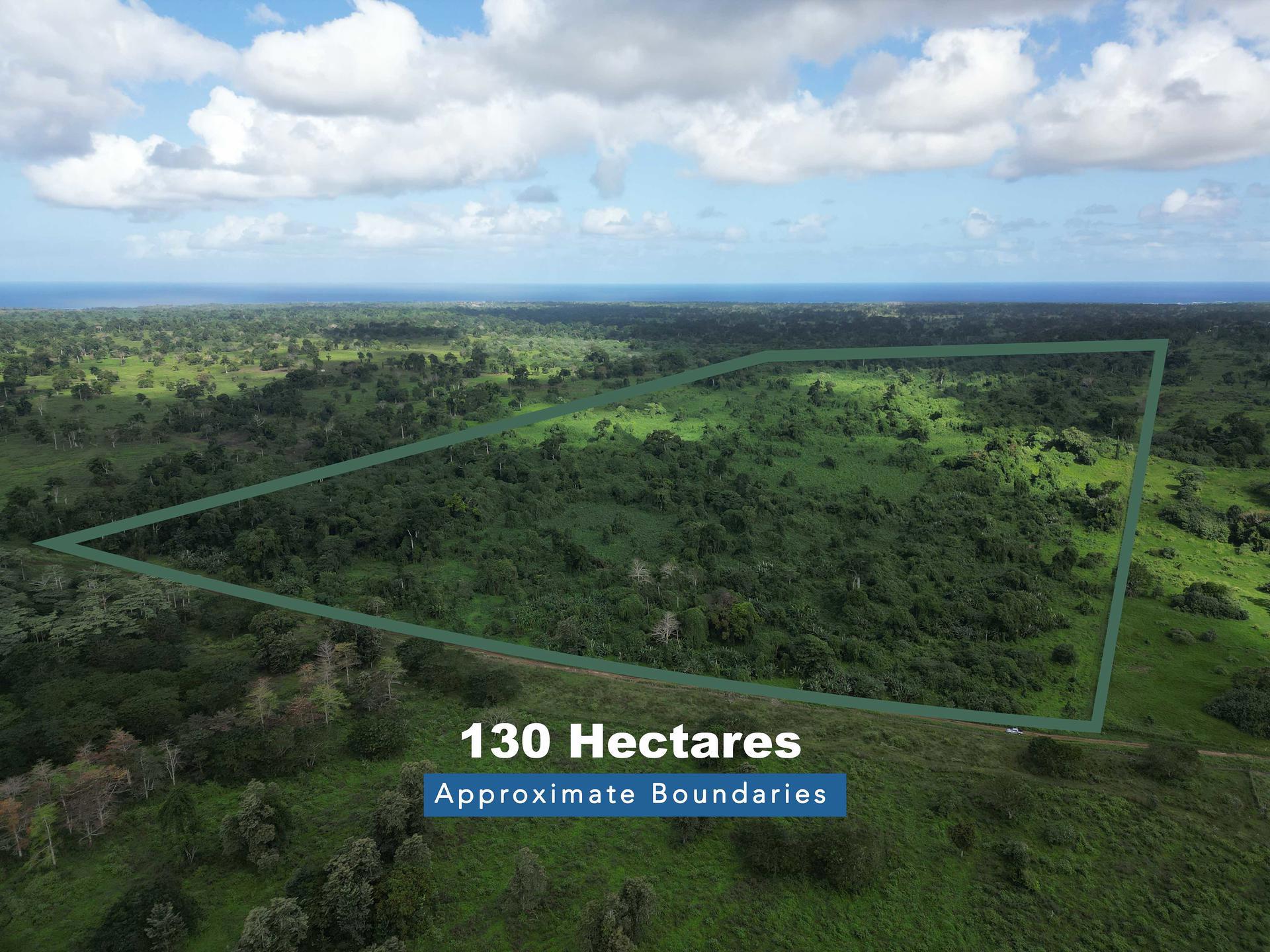 130.806 Hectares of Untouched Agricultural Land in Eton, Efate, photo 1 of 6