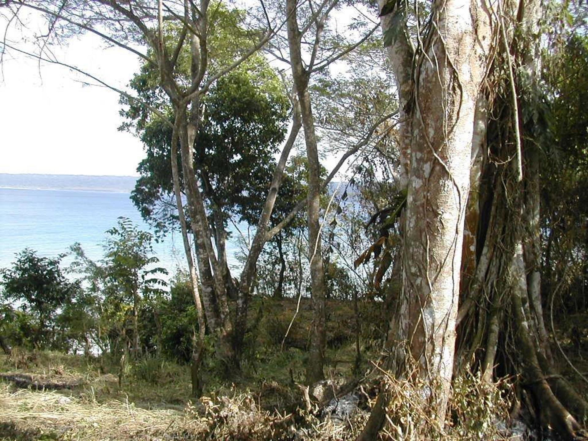 Build here and enjoy the water views!, photo 2 of 5