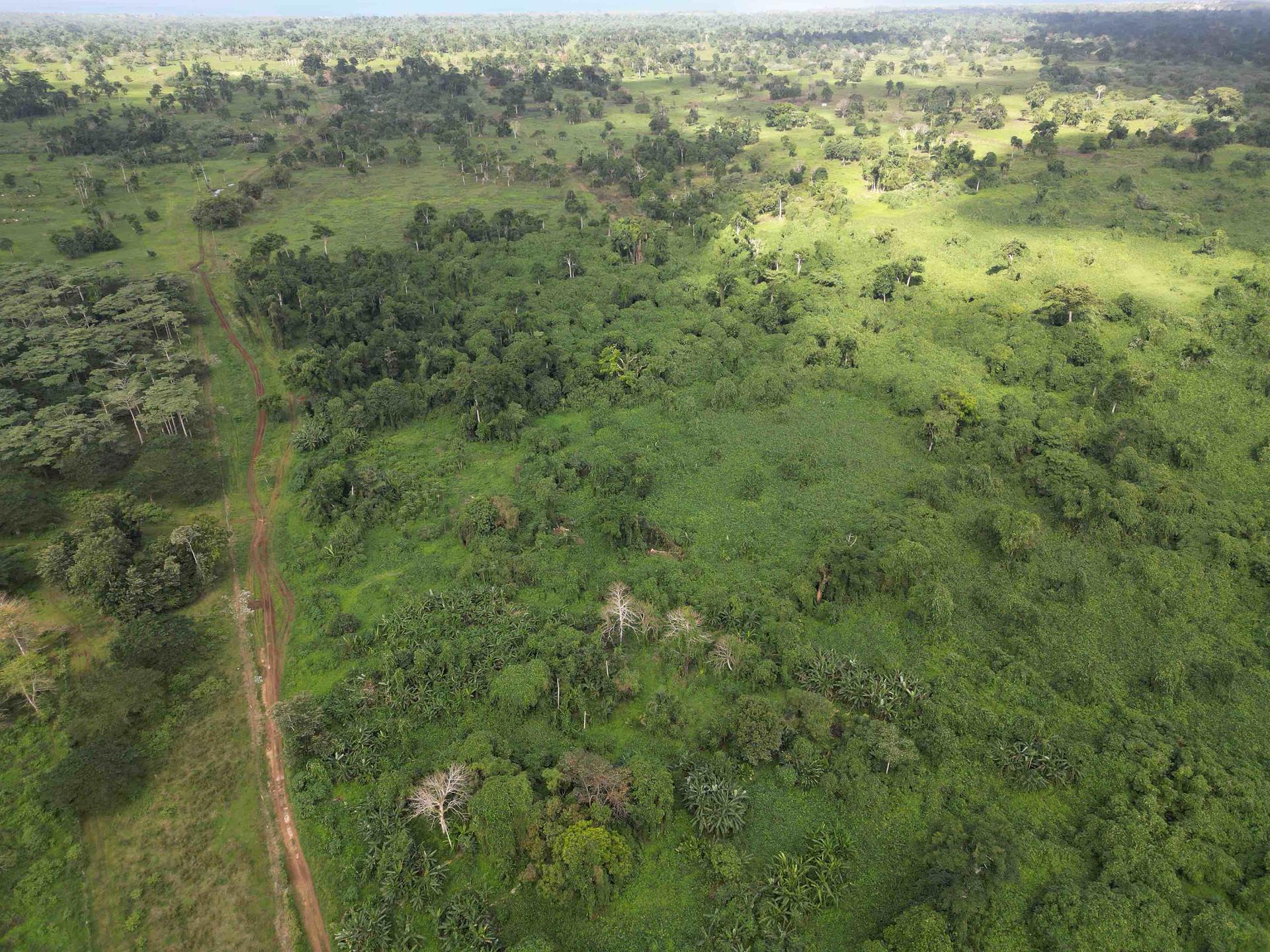 130.806 Hectares of Untouched Agricultural Land in Eton, Efate, photo 2 of 6