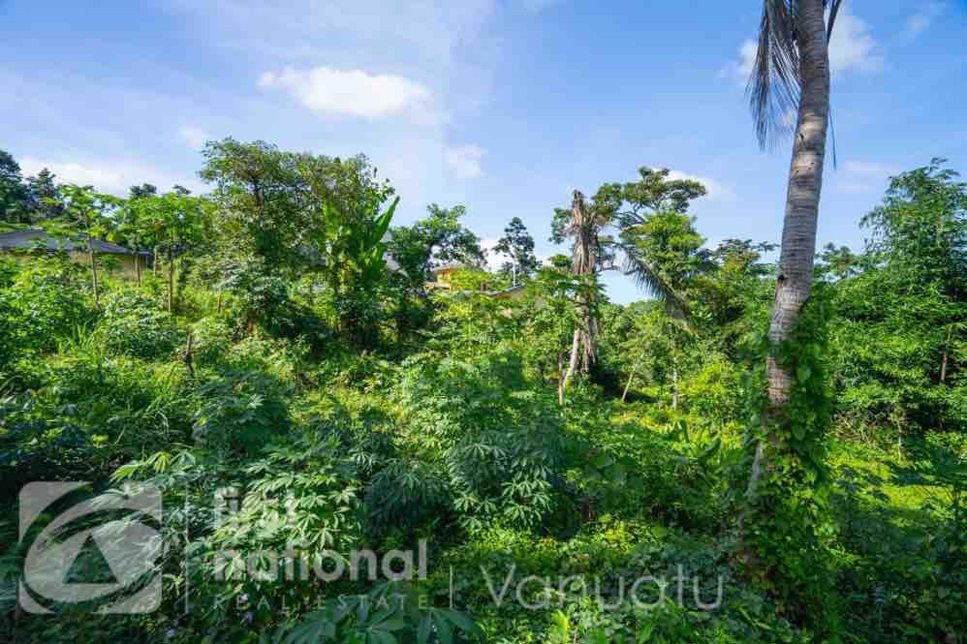 Two Blocks of Vacant Land on the Second Lagoon, photo 2 of 12