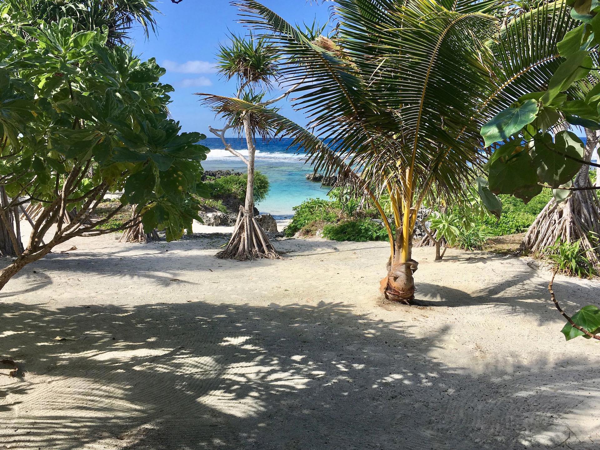 Eton Reef Estate – Oceanfront Land for Sale in Vanuatu | Open to All Reasonable Offers, photo 2 of 17