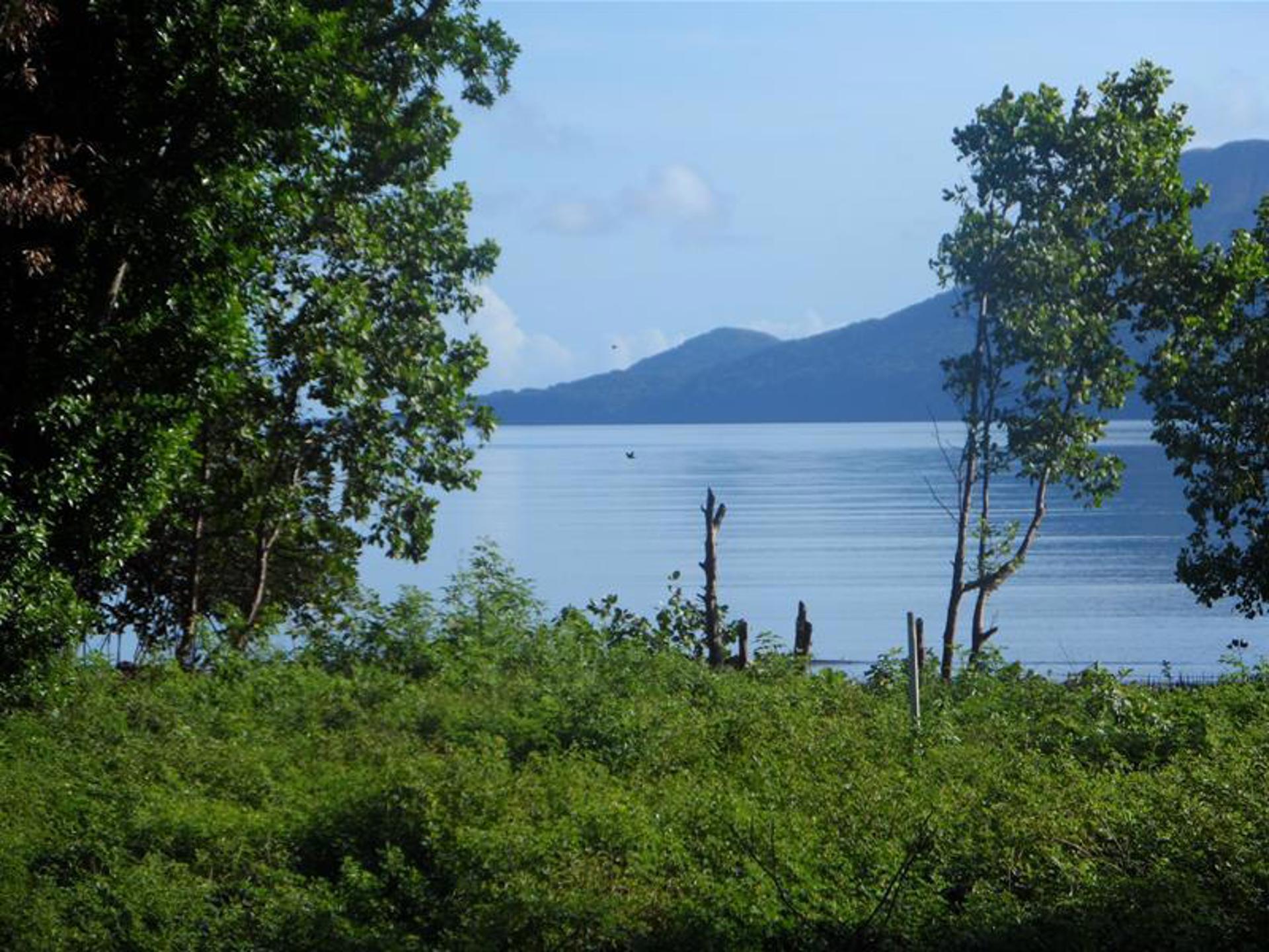 Untouched Waterfront Lifestyle Blocks, photo 2 of 7