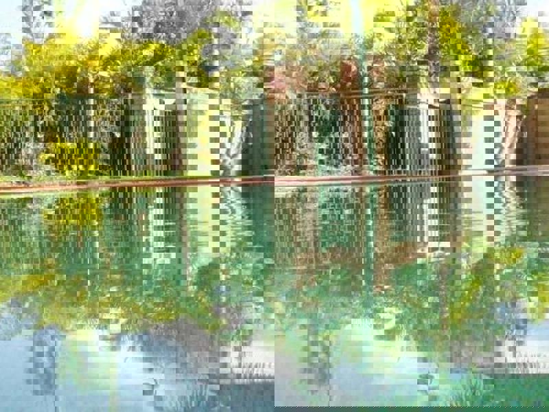 property-images