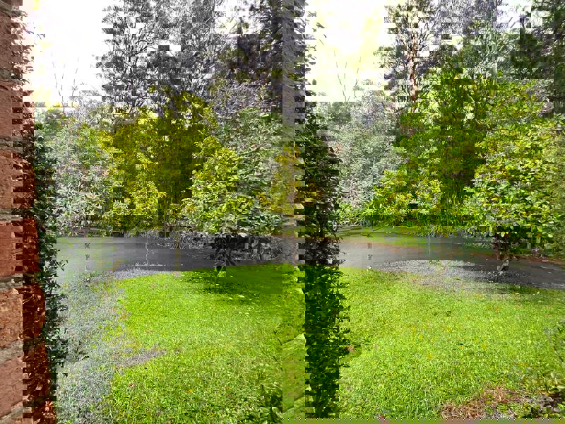 property-images