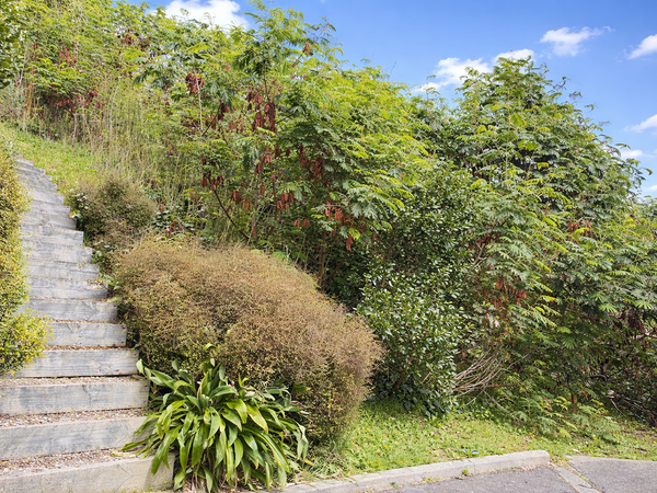 85J Seatoun Heights Road, Seatoun