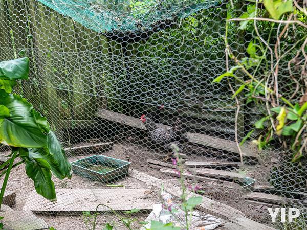 25 Prospect Terrace, Johnsonville