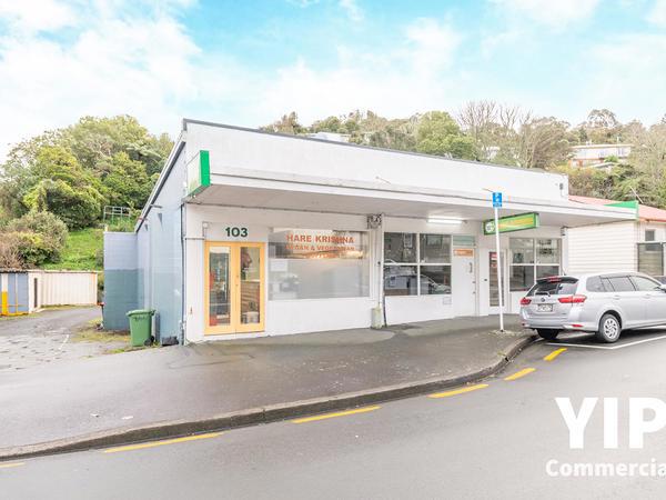 103 Newlands Road, Newlands