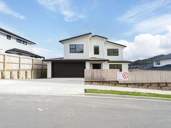 50 Farnworth Terrace, Churton Park