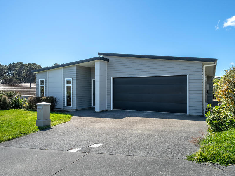 9 Ken Douglas Drive, Aotea