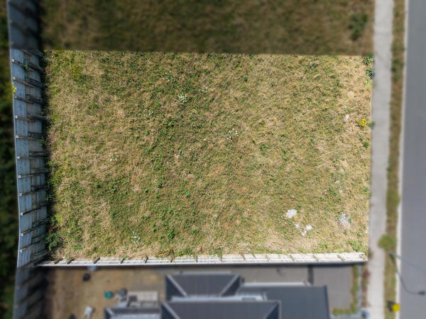 174 Silverstream Road, Crofton Downs