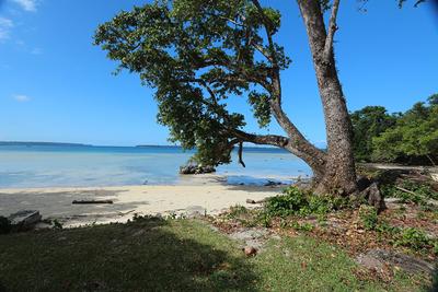 Lope Sands, Espiritu Santo, Vanuatu                              