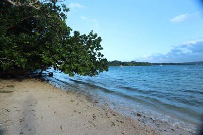 Peterson Bay, Espiritu Santo, Vanuatu          