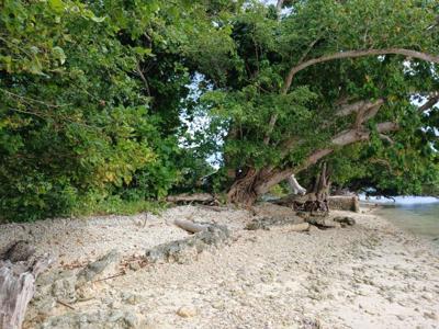 5 Aore Point, Aore Island, Espiritu Santo, Vanuatu                