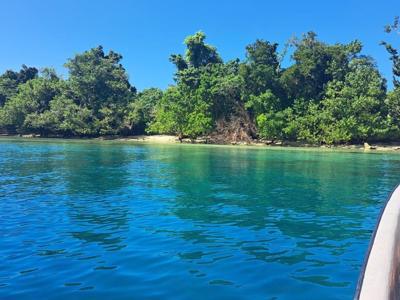 38 Forest Beach, Aore Island, Espiritu Santo, Vanuatu               