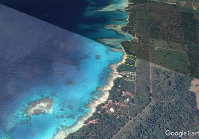 2 Natanara blocks, Espiritu Santo, Vanuatu                    