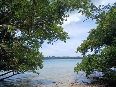 21 Aore Point, Aore Island, Espiritu Santo, Vanuatu                 
