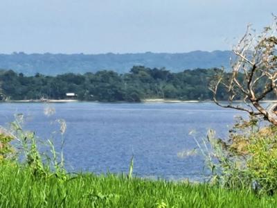 Palms Estate, Luganville, Espiritu Santo, Vanuatu                