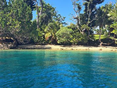 32 Forest Beach, Aore Island, Espiritu Santo, Vanuatu               