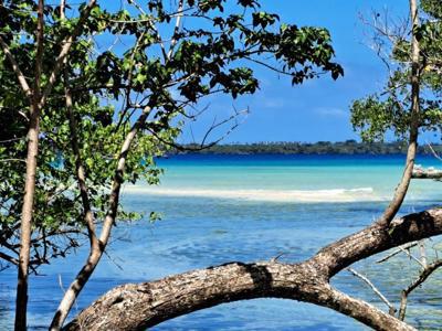 Sea View River Block  Tides Reach, Espiritu Santo, Vanuatu                                    