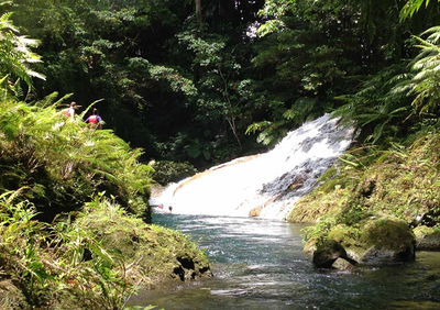 Mount Hope, Espiritu Santo, Vanuatu                               