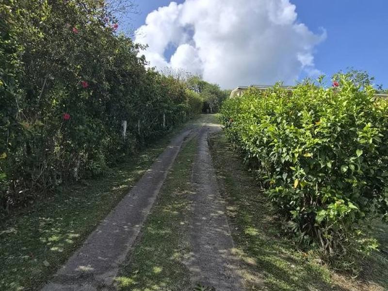 Stunning Island Views – Property with Huge Potential!, photo 2 of 14