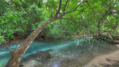 Lot 4 Lope Sands, Espiritu Santo, Vanuatu                                                    