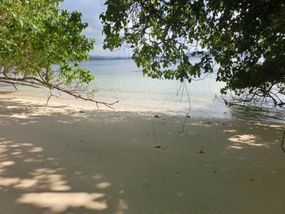 39 Forest Beach, Aore Island, Espiritu Santo, Vanuatu              