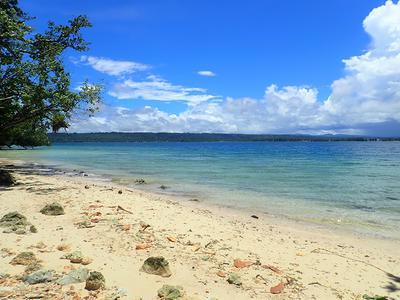 Lot 41,42 & 43 Forest Beach, Aore Island, Vanuatu                                       