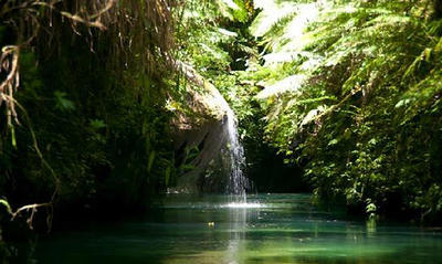 Mount Hope Station, Espiritu Santo, Vanuatu                                                         