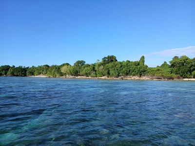 43 Aore Point, Aore Island, Vanuatu     