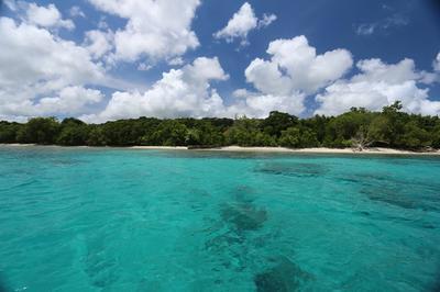 Malo Island, Vanuatu                           