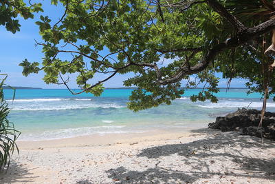 2 Natanara blocks, Espiritu Santo, Vanuatu                          