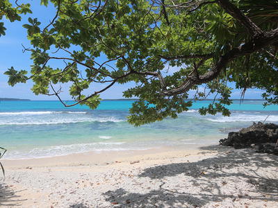 2017-03-22 12.34.12.jpg