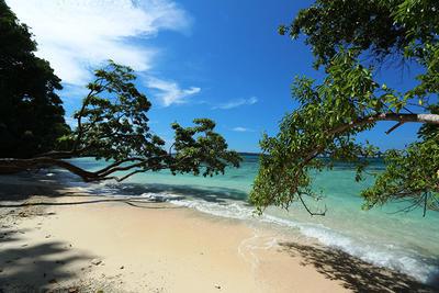 Natanara Rd, Espritu Santo, Vanuatu                                      