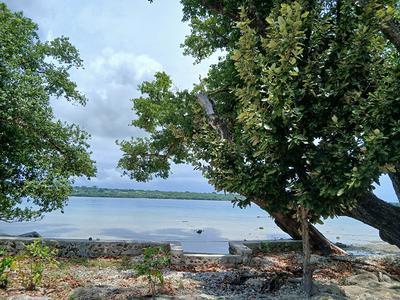 30 Aore Point, Aore Island, Vanuatu
                  