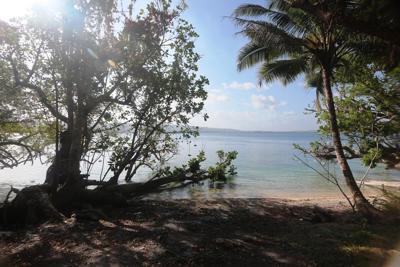 Piece of Paradise, Aore Island, Espiritu Santo, Vanuatu                   