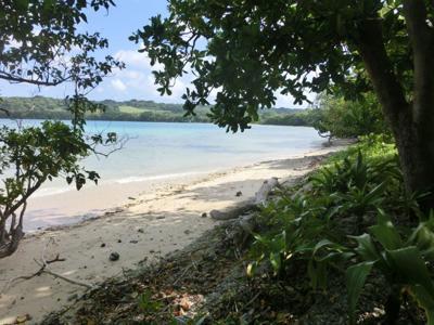 9 Aimbuei Bay, Aore Island, Espiritu Santo, Vanuatu                     