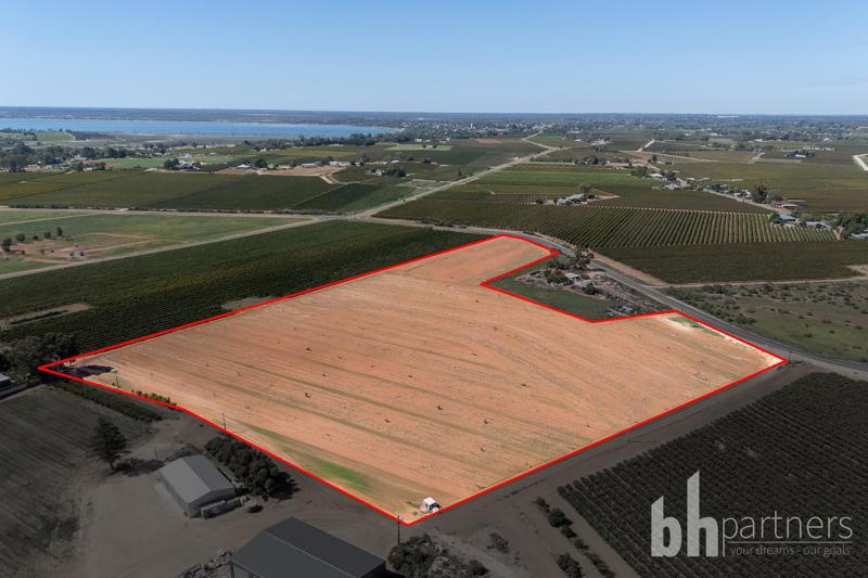 Lot 38 Loveday Road, Barmera SA, Barmera - Image 1