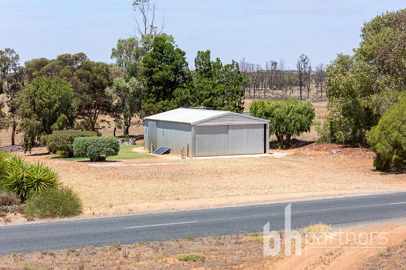 224 Greenways Road, Nildottie SA, Nildottie - Thumbnail 4