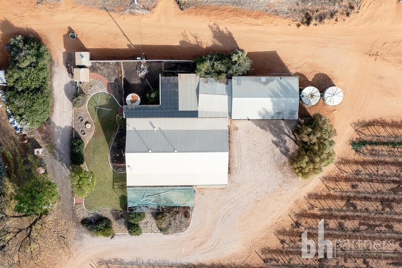 254 Dunstone Road, Barmera SA, Barmera - Thumbnail 3