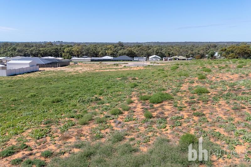 Lot 900 Moorook South Estate Final Stage, Moorook South SA, Moorook South - Thumbnail 6