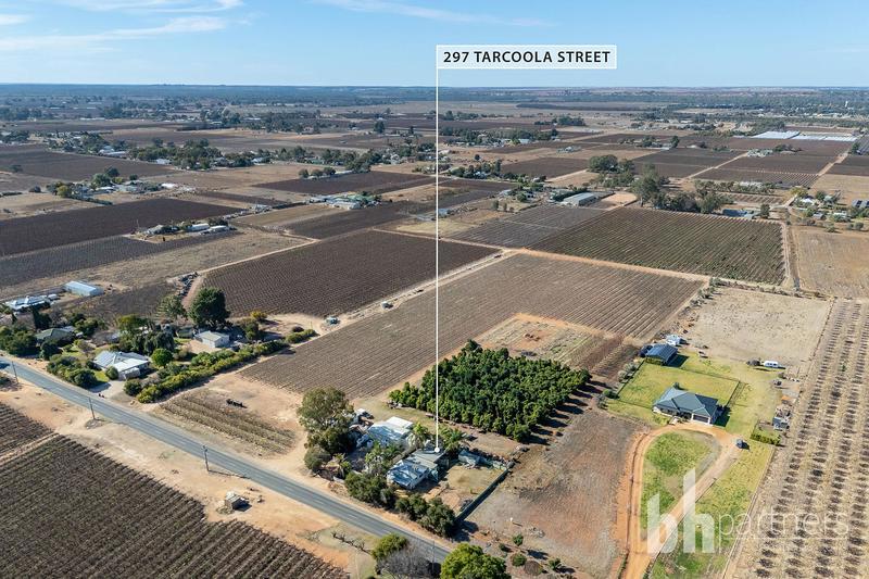 297 Tarcoola Street, Renmark West SA, Renmark West - Thumbnail 2