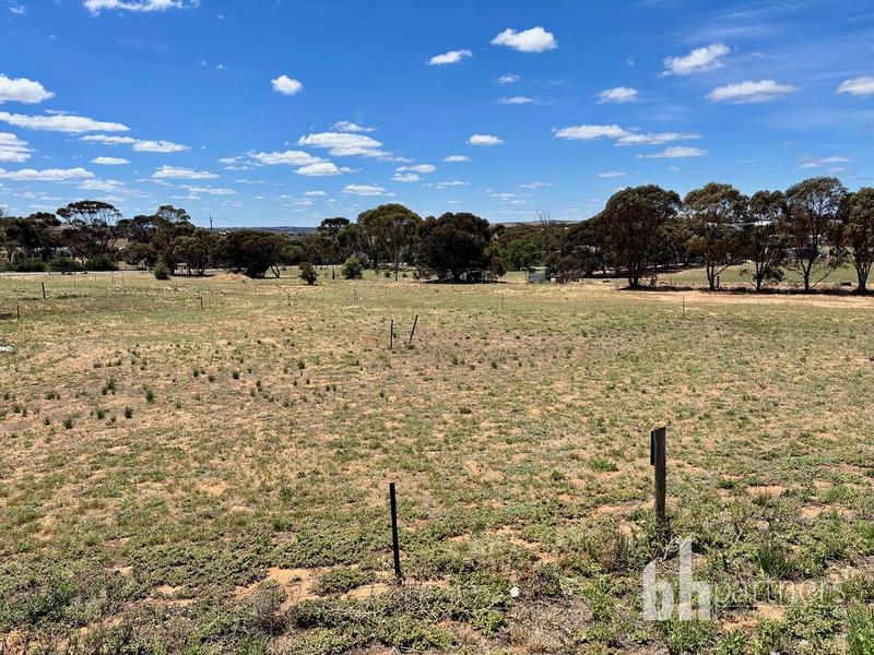 Lot 144 Dollard Avenue, Mannum SA, Mannum - Thumbnail 6