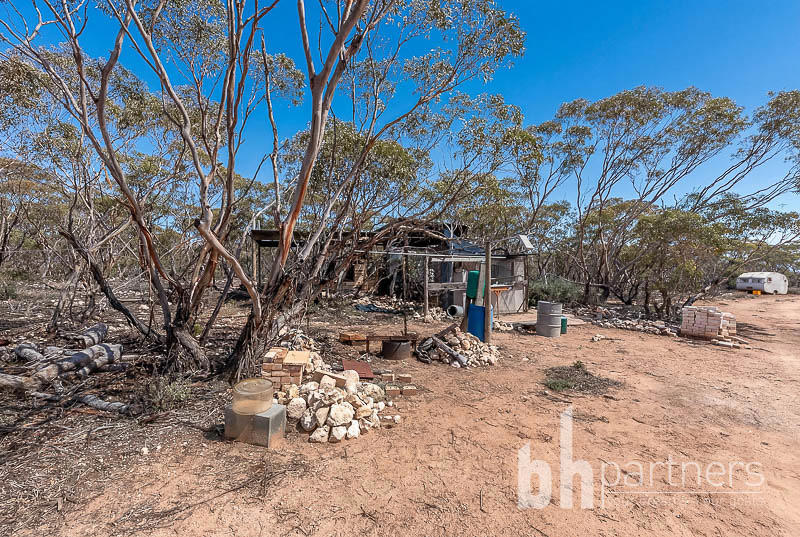 427 Codrington Road, Mannum SA, Mannum - Thumbnail 4