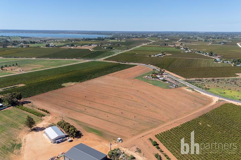 Lot 38 Loveday Road, Barmera SA, Barmera - Thumbnail 4