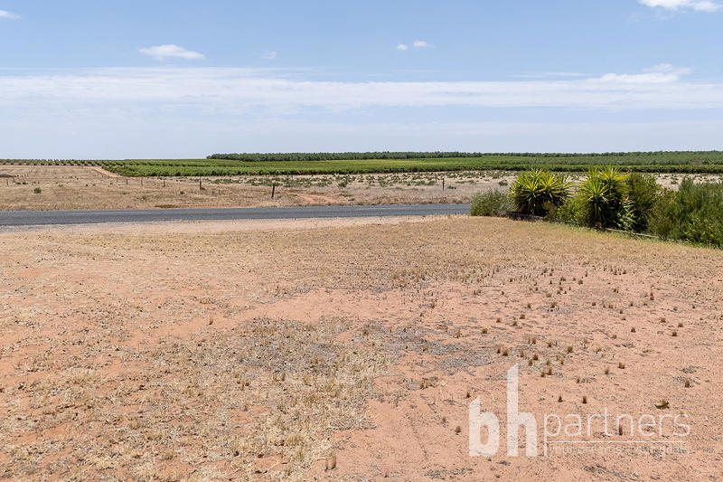 224 Greenways Road, Nildottie SA, Nildottie - Thumbnail 5