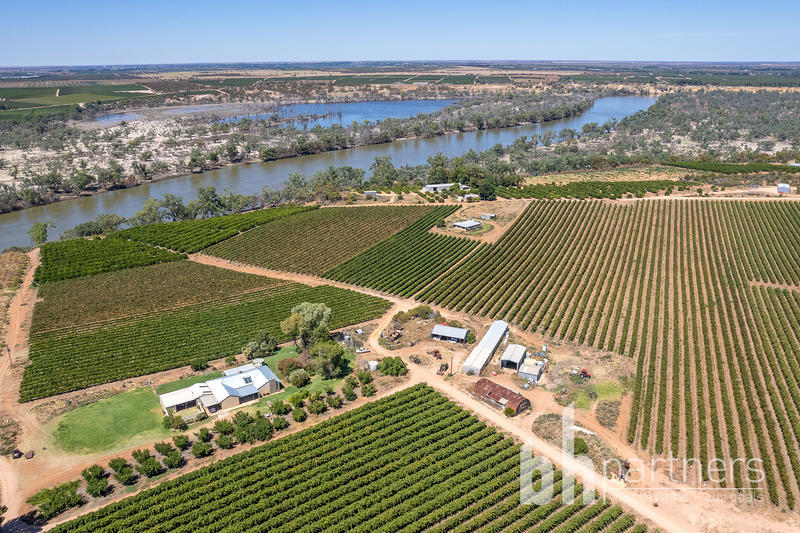 247 Markaranka Road, Taylorville SA, Taylorville - Thumbnail 5