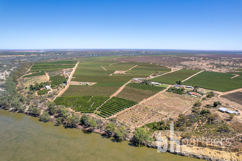 247 Markaranka Road, Taylorville SA, Taylorville - Thumbnail 7