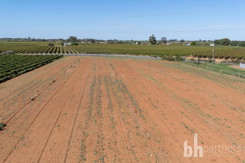 Lot 38 Loveday Road, Barmera SA, Barmera - Thumbnail 7
