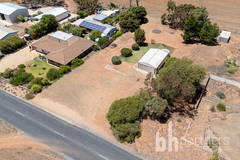 224 Greenways Road, Nildottie SA, Nildottie - Thumbnail 6